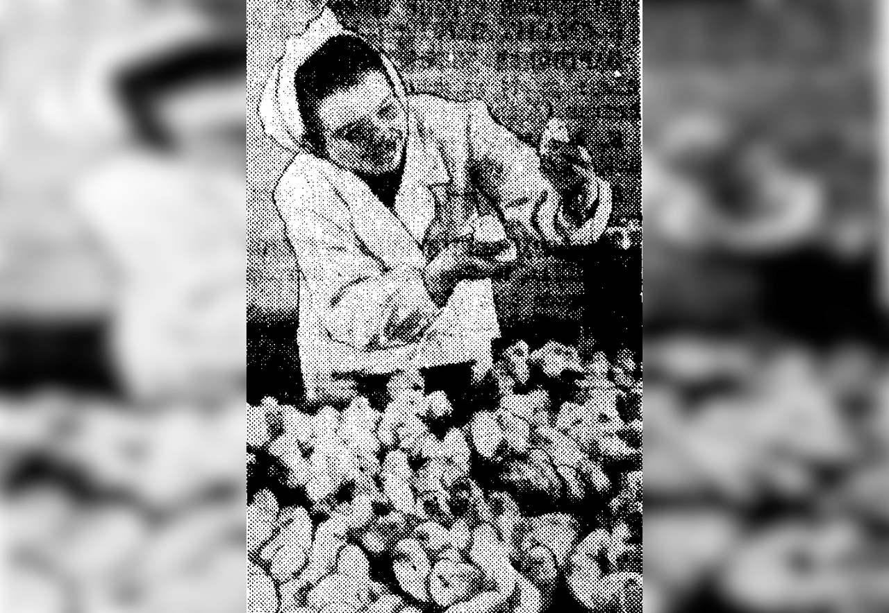 Crónica de 1954. (De las páginas de "Sajalín Soviético")