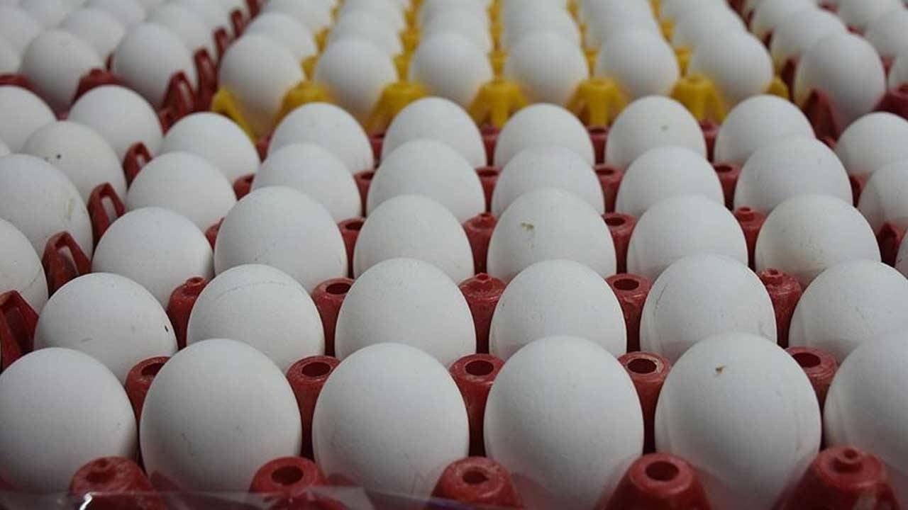 El huevo ha retrocedido