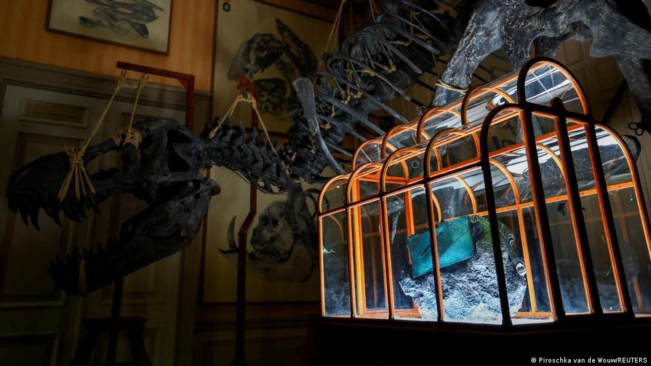 T-Rex-Leder aus dem Labor: Mehr Huhn als Dino?