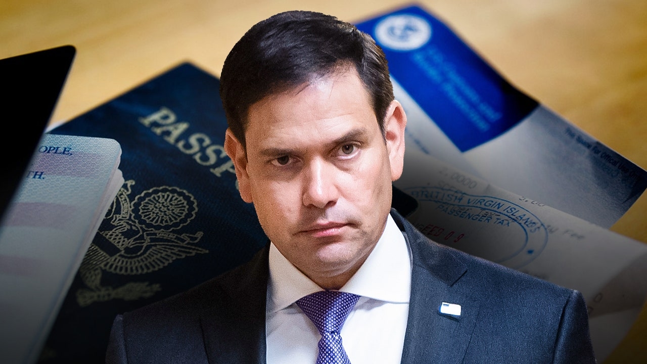Trump admin puts alleged 'birth tourism' scheme on notice as expert delivers warning to hospitals
