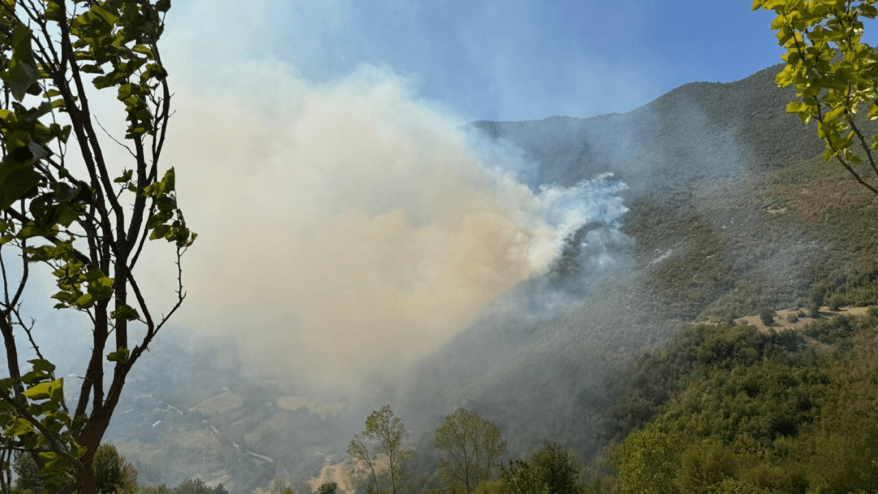 ¡Incendio forestal en el Parque Nacional de las Montañas Küre!
