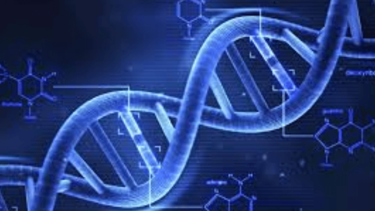 Er machte einen DNA-Test und es stellte sich heraus, dass er und seine Frau Geschwister waren