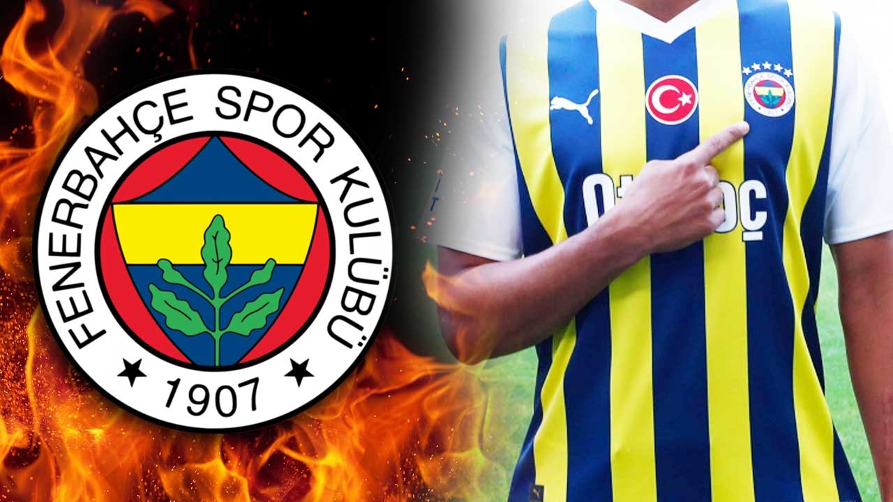Trasferito al Fenerbahçe a parametro zero, verrà pagato 5 milioni di euro