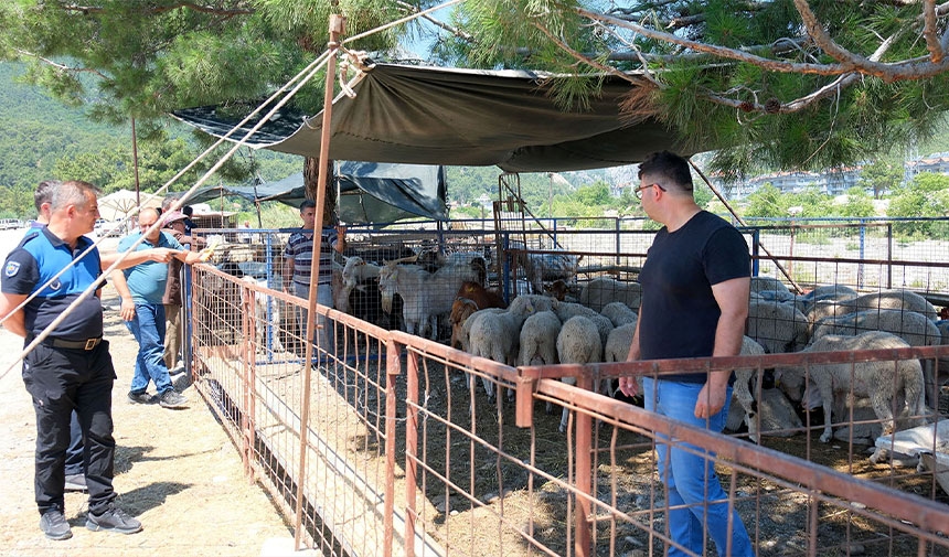 Habrá multas para quienes sacrifiquen animales en la calle