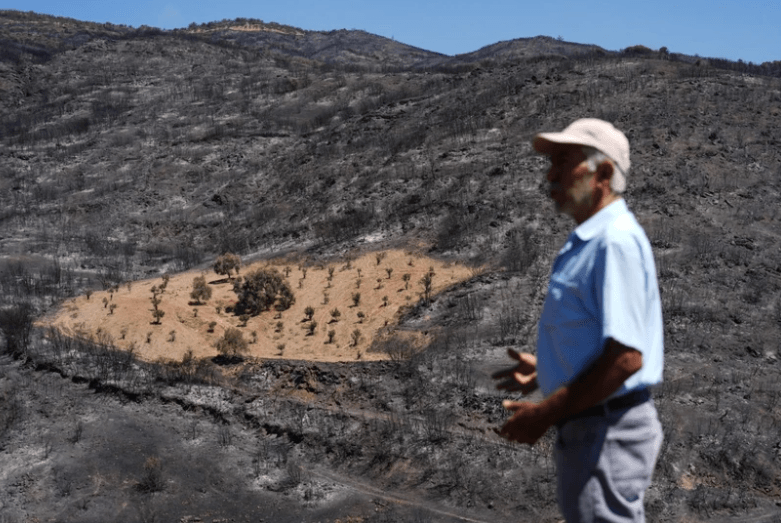 Everything burned down, but nothing happened to Farmer Ahmet's field