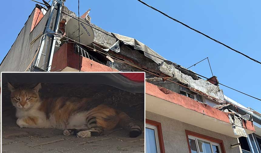 Kâğıthane'de binanın balkonu kendiliğinden çöktü, bir kedi ölümden kıl payı kurtuldu