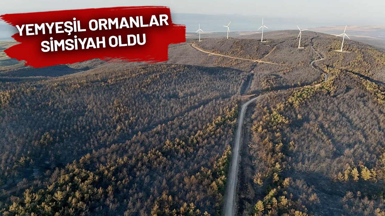 ¡Fuego de Tekirdağ el tercer día!