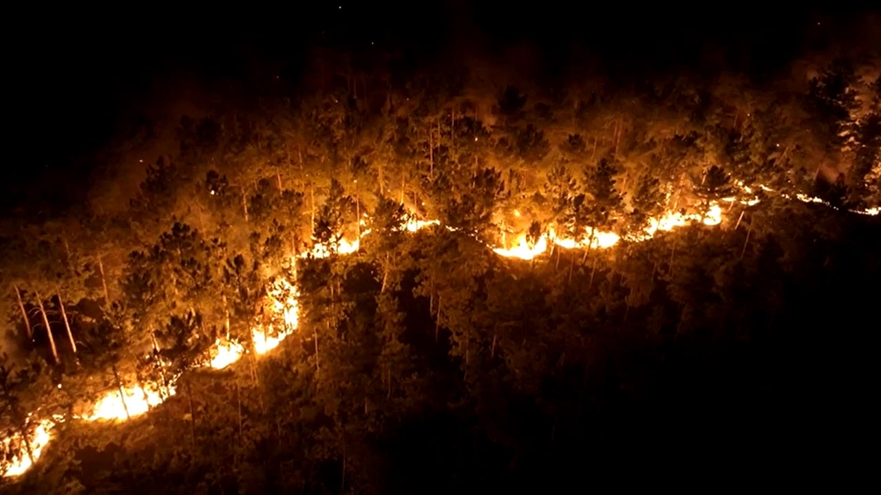 Why did Türkiye surrender to the fires?