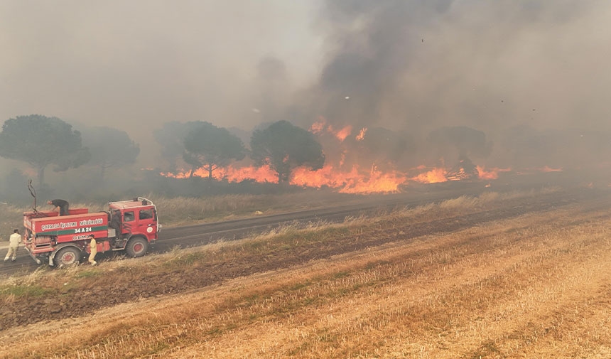 Fire breaks out in a forest area in Silivri!