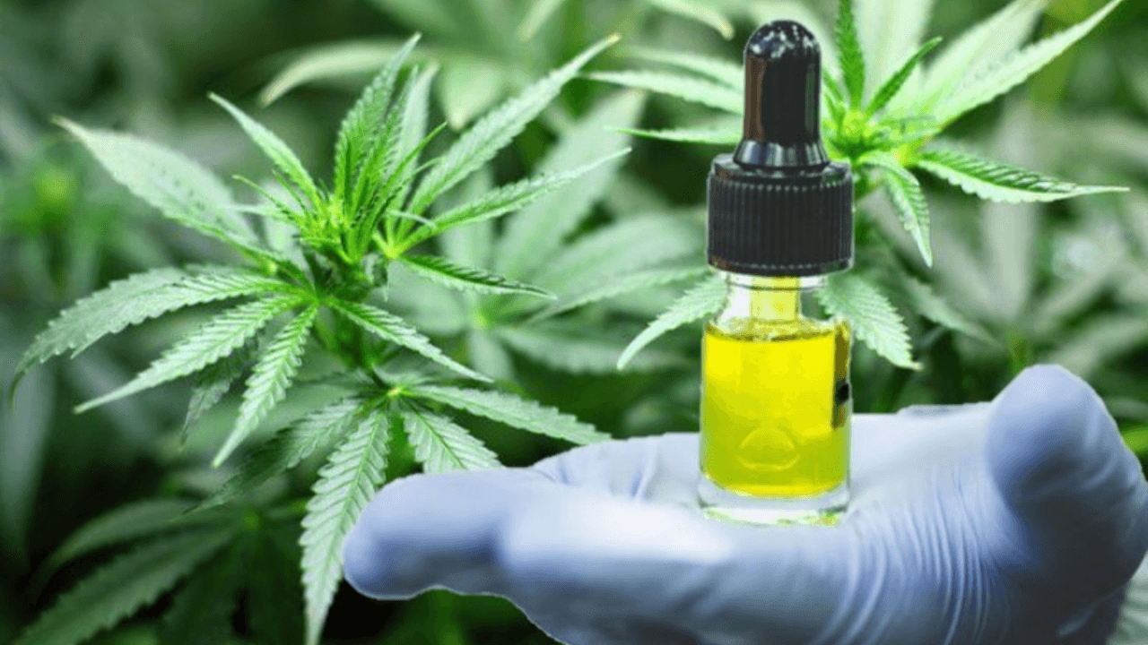 ¡Se han anunciado 15 enfermedades para las que se puede utilizar el cannabis medicinal!