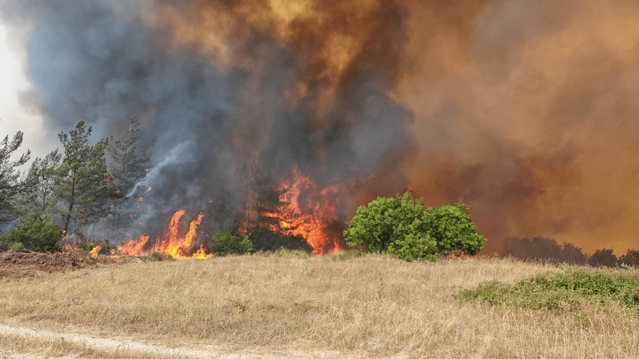 ¡Incendio forestal en Bursa!