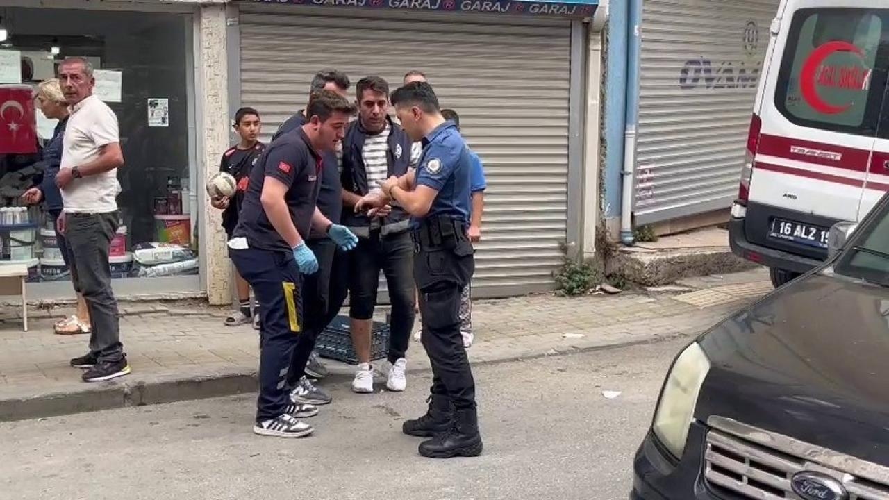 Attack with a pitbull on police officers responding to a report: 2 police officers injured