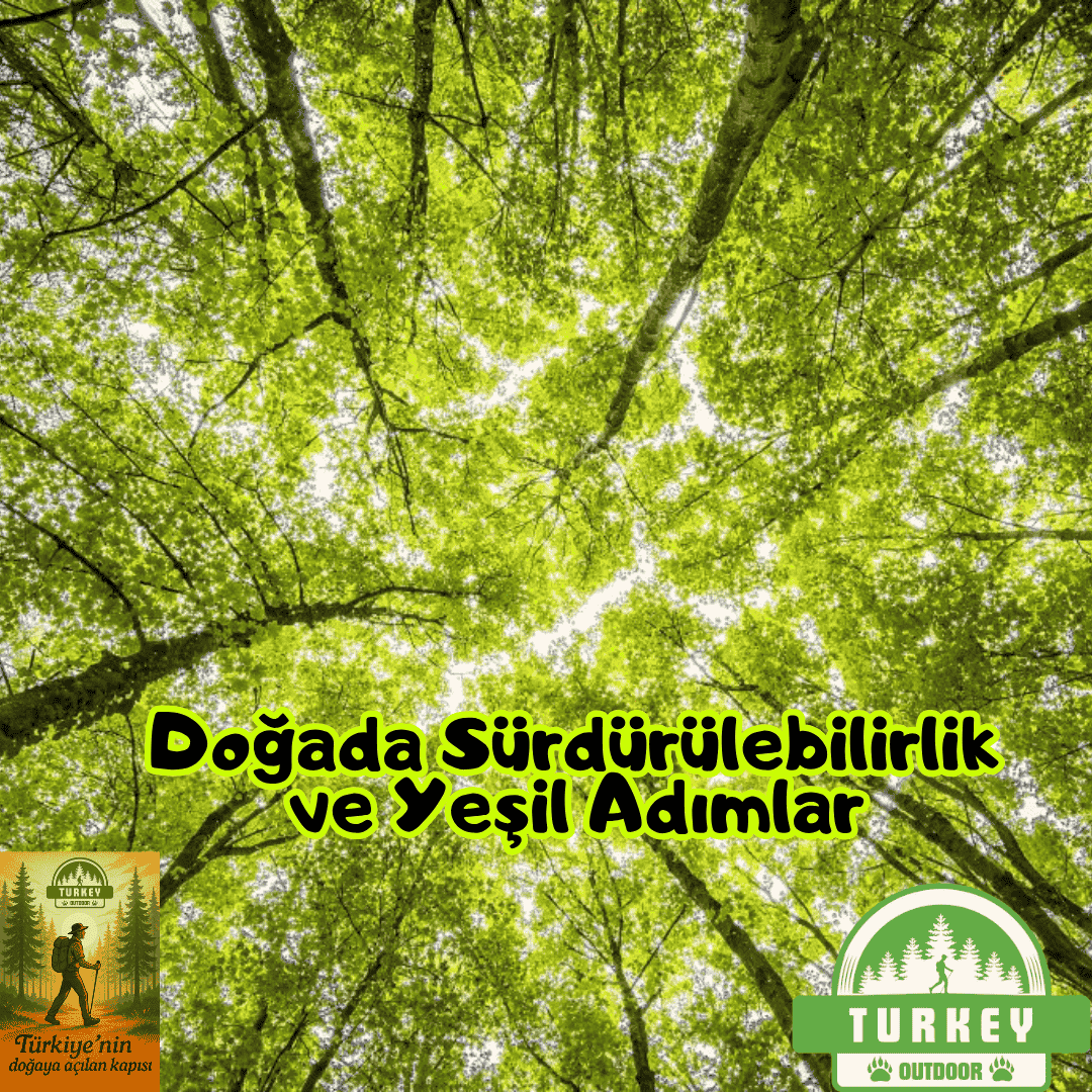 Sustainability and Green Steps in Nature