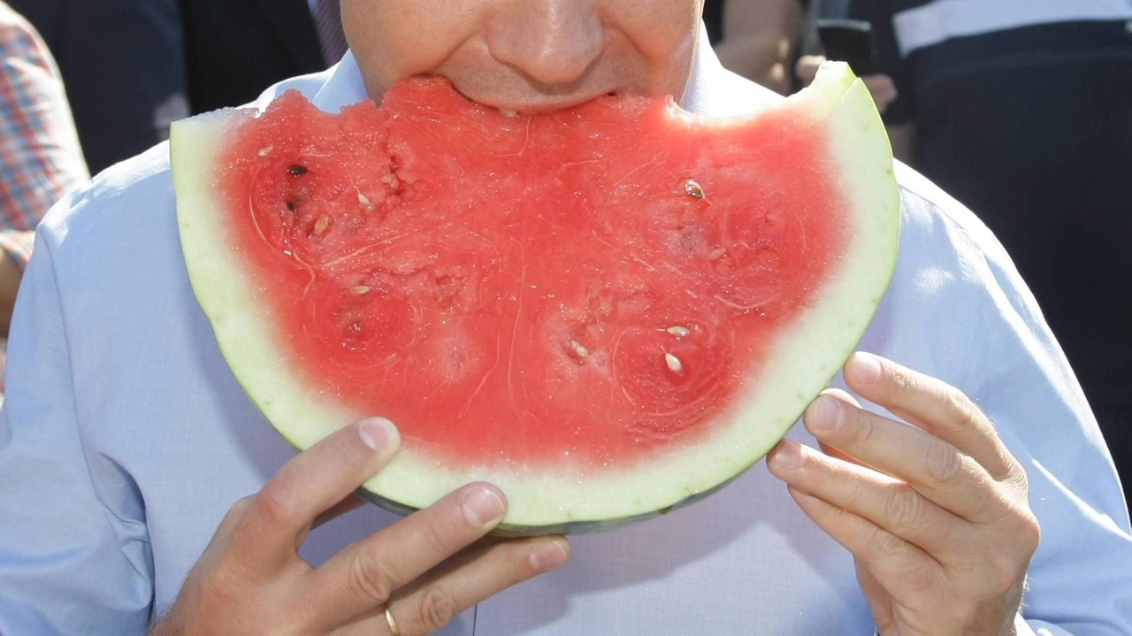 Nutritionniste : « contre la chaleur, la pastèque et les fruits d'été pour intégrer naturellement les sels minéraux »