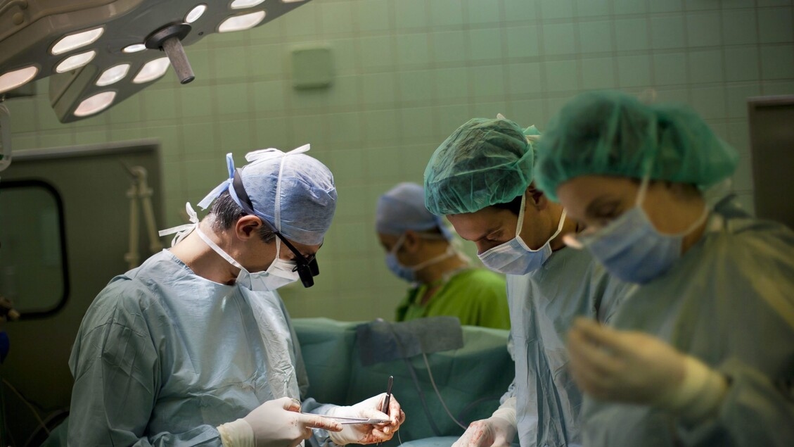 In Italy in 20 years almost 35 thousand kidney transplants