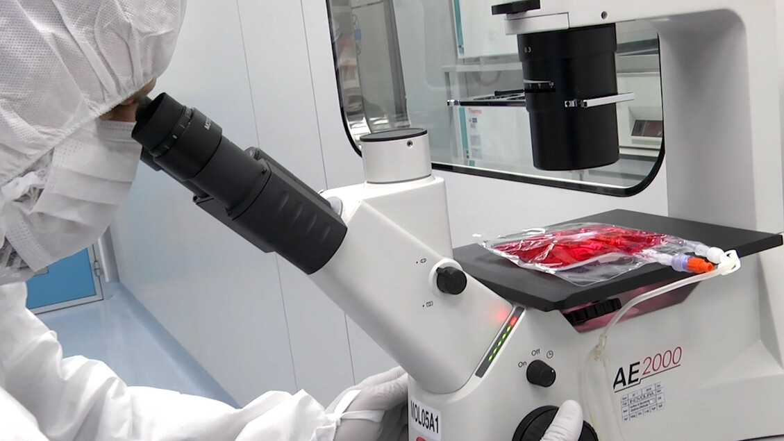 Studie eröffnet neue Möglichkeiten zur Bekämpfung von Autoimmunerkrankungen bei Menschen über 65