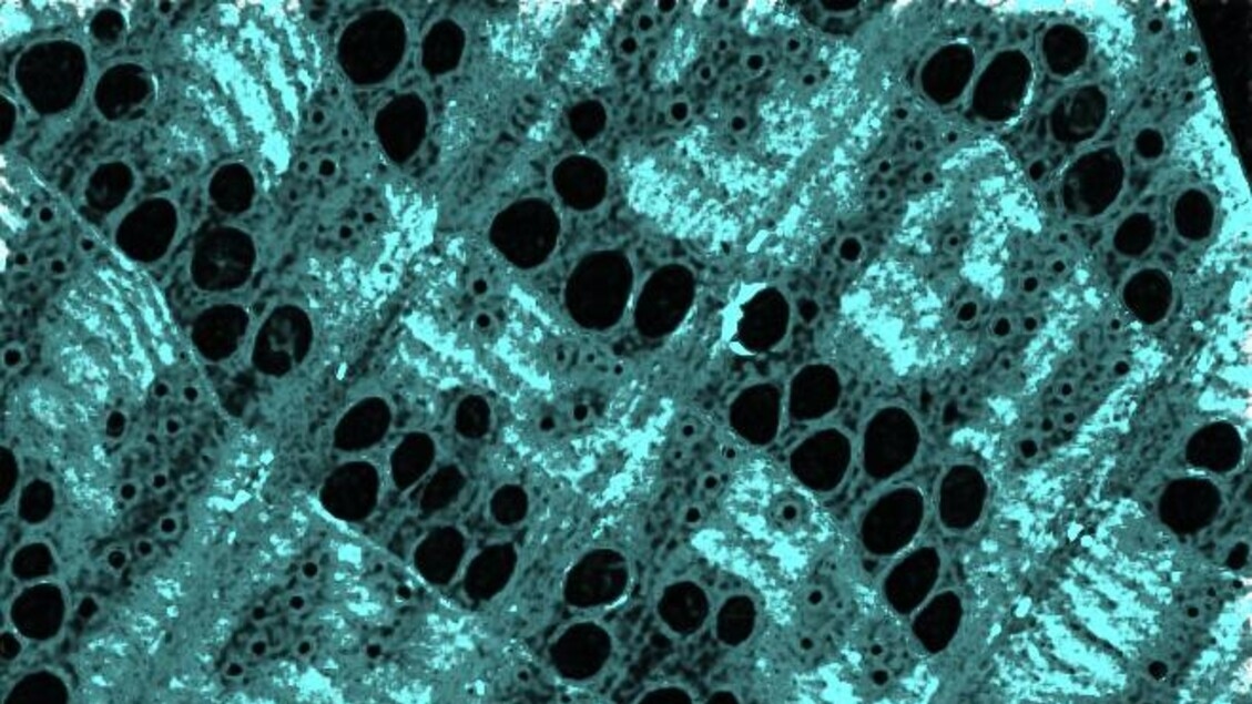 Met nano-ijzer versterkt hout voor de groene materialen van de toekomst