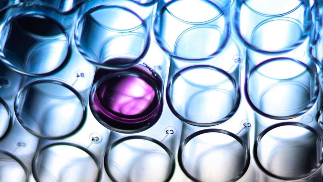 Las nuevas moléculas anticancerígenas matan las células enfermas con mayor fuerza