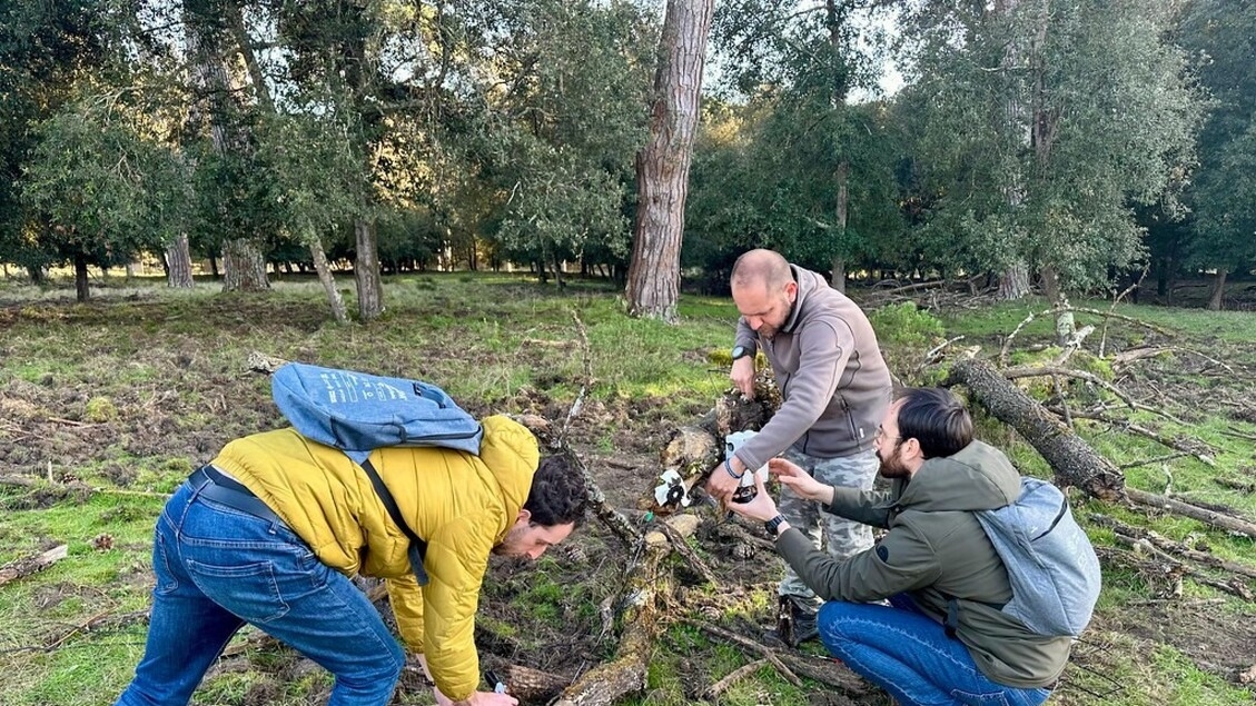 AI herkent en telt wilde zwijnen en herten in het San Rossore-park