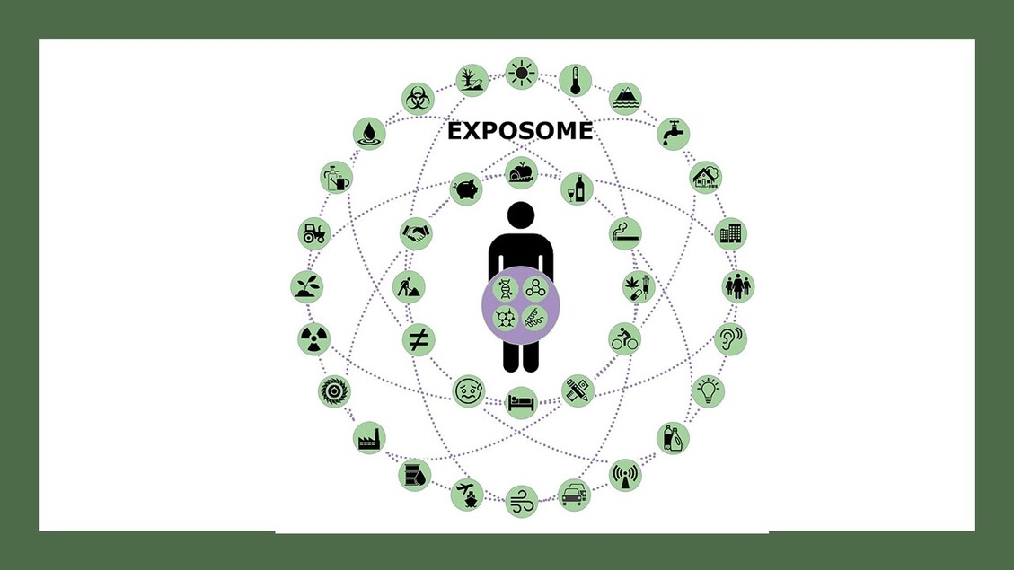 Na het Human Genome Project komt het project over het Exposome