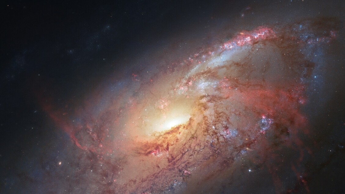 The new intruder of the Solar System is perhaps among the oldest comets