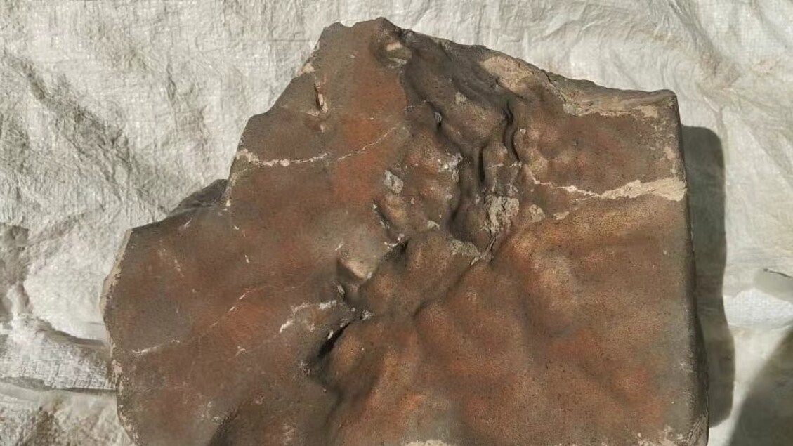 Größter Marsmeteorit für 5,3 Millionen Dollar verkauft