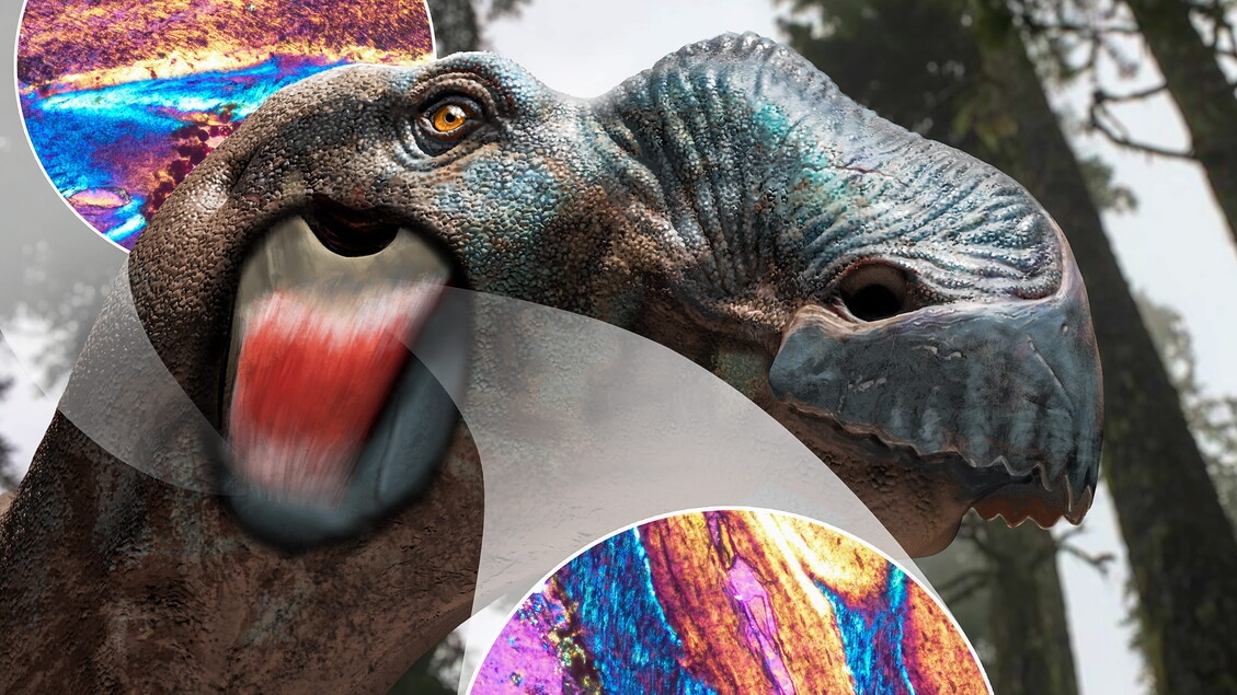 Dinossauros tinham bochechas e pistas nos ossos do crânio
