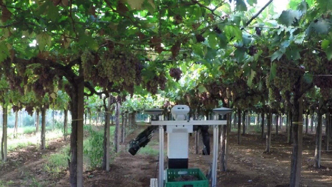 Robot farmers are actually starting to work in the fields