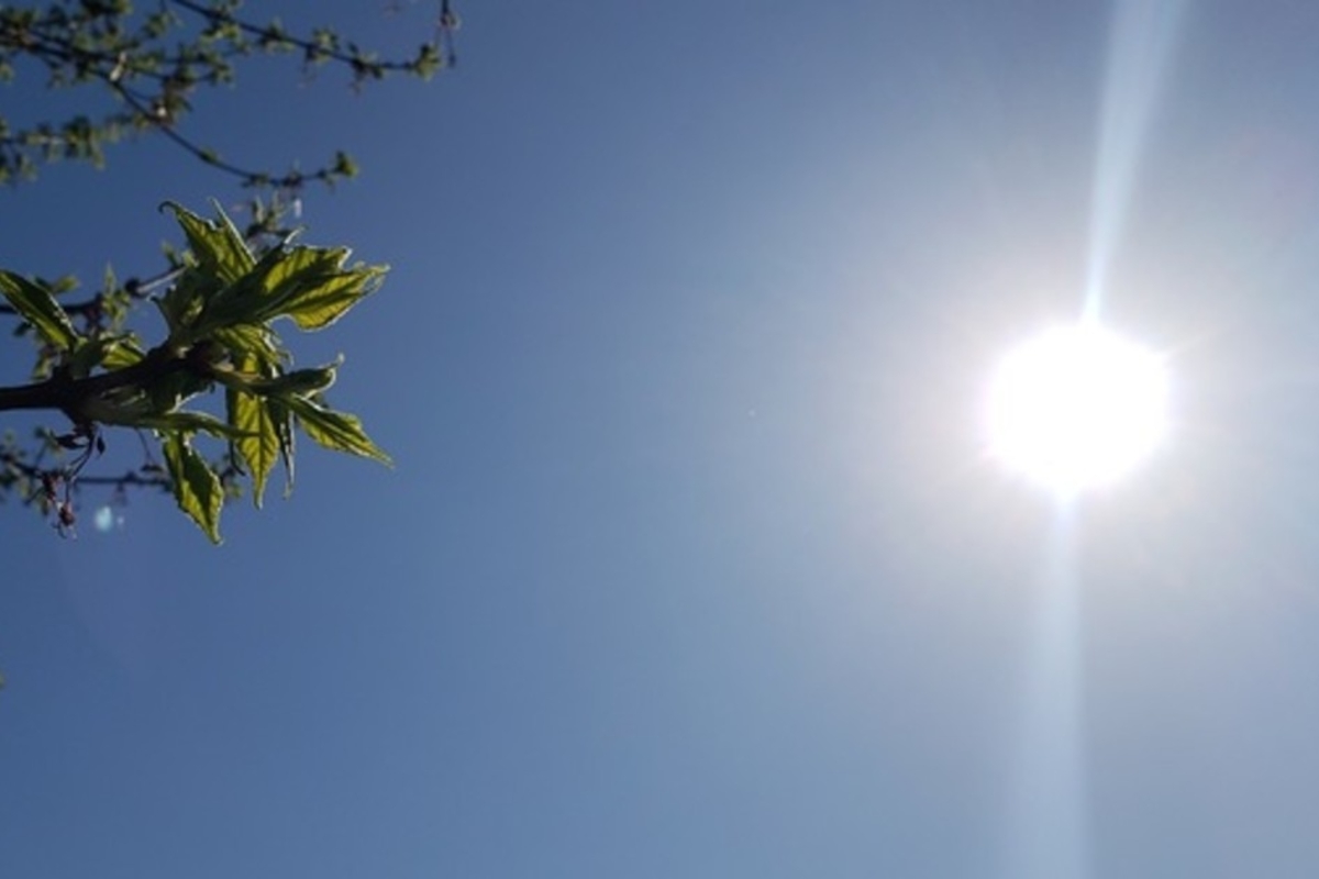 Cinque distretti in allerta rossa tra lunedì e martedì a causa del caldo