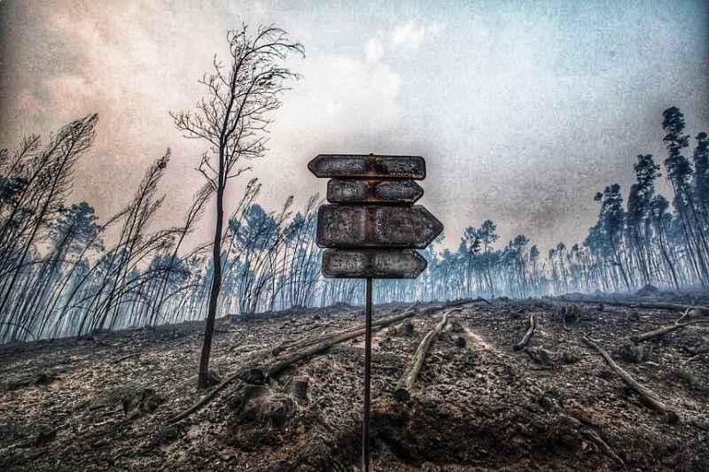 Maioria dos distritos das regiões Norte, Centro e Algarve em risco máximo de incêndio