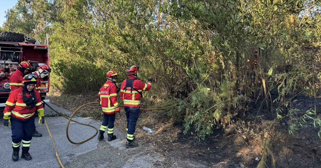 PJ arresta il sospettato di aver appiccato quattro incendi a Mira