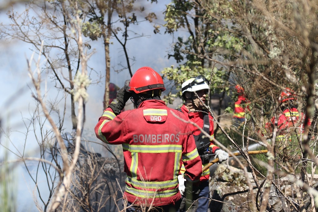 Brand in Sabrosa met één front en 80% van de perimeter gedomineerd
