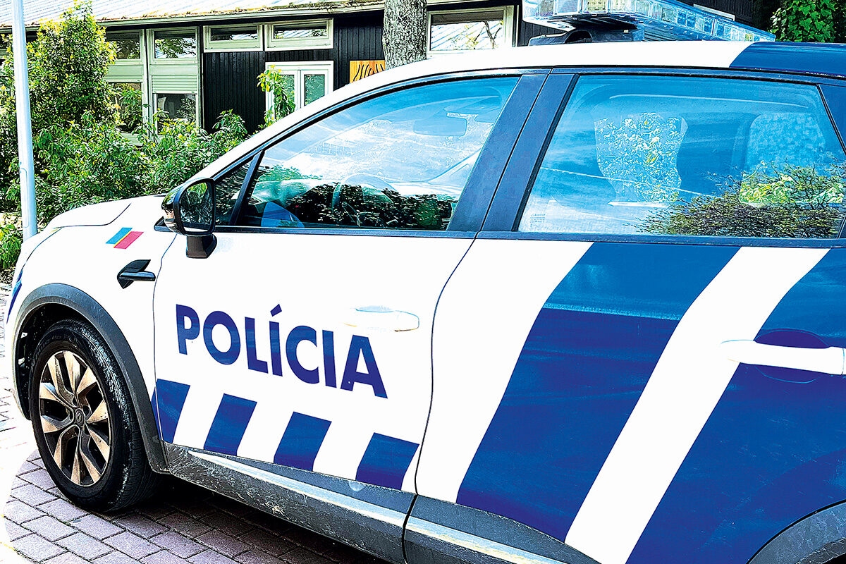 PSP arresteert twee mannen voor diefstal
