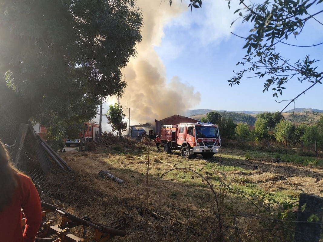 Incêndio destrói carpintaria em Vale de Lamas