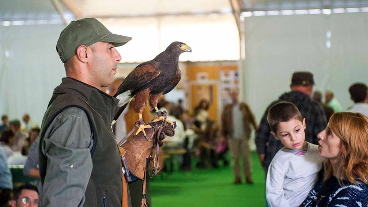 16. Targi Łowieckie Mértola powracają w październiku do Wielofunkcyjnego Pawilonu Expo