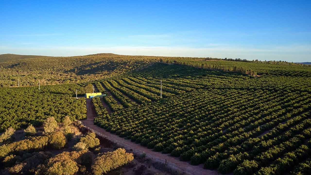 Loulé promoot "Verhalen en Smaken" gewijd aan het Algarvensis Geopark