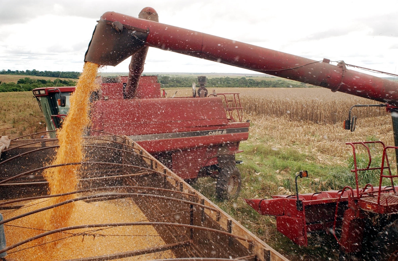 Conab anuncia R$ 300 milhões para produtores de arroz na safra 2025/26