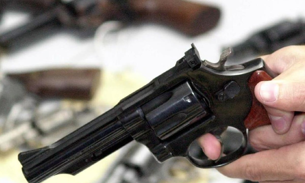 Cámara debate otorgar permisos de armas a agentes de seguridad privada fuera de servicio