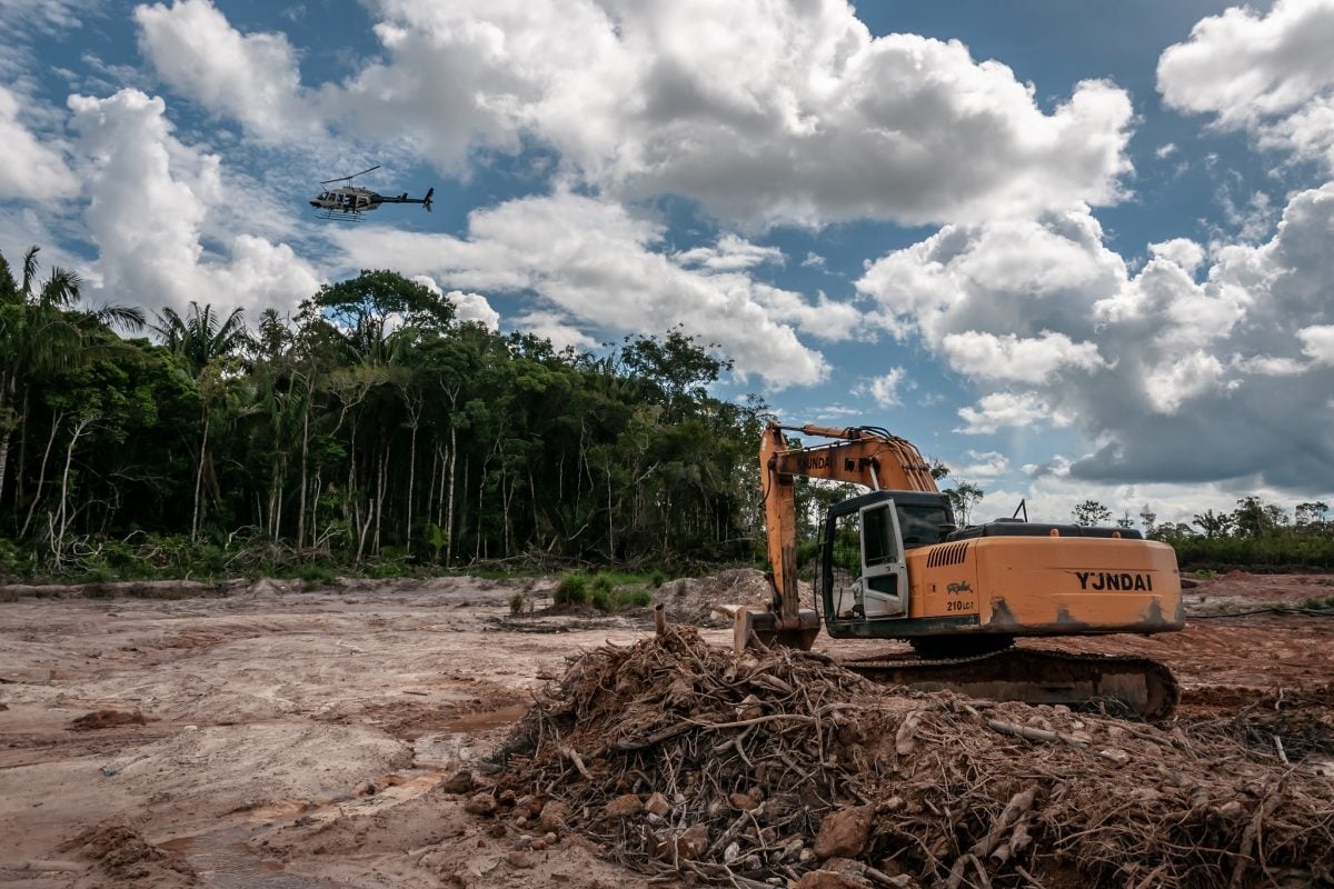 Amazzonia: cresce l'allerta deforestazione e mobilita il governo