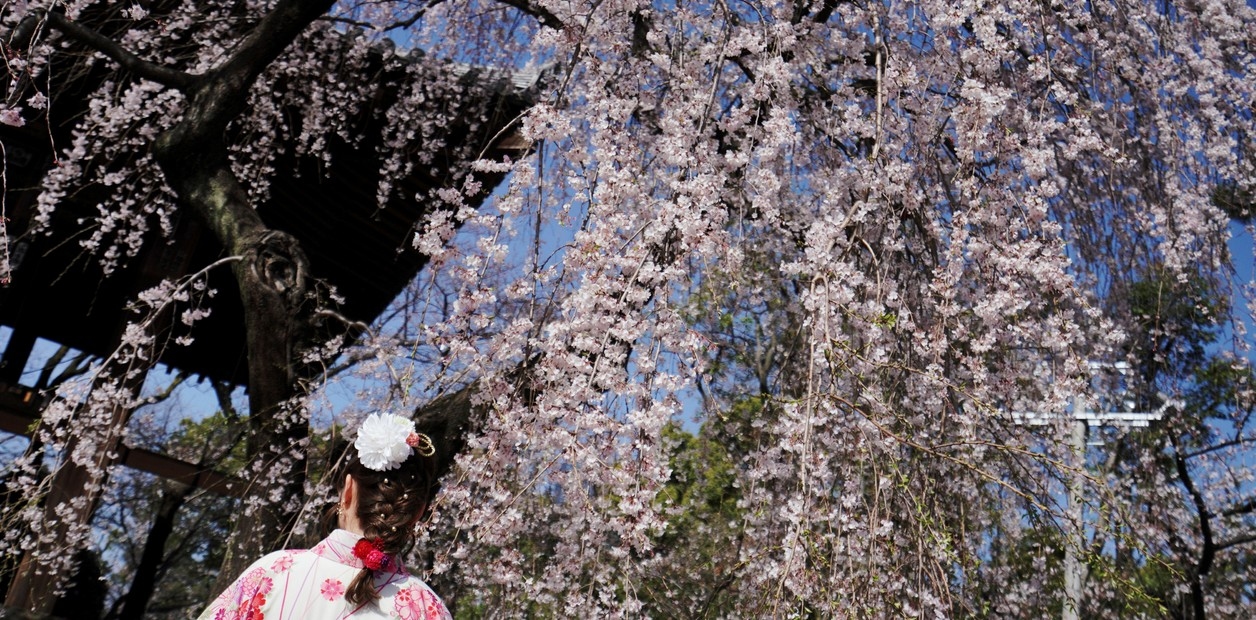 Une carte pour explorer le charme de la littérature japonaise