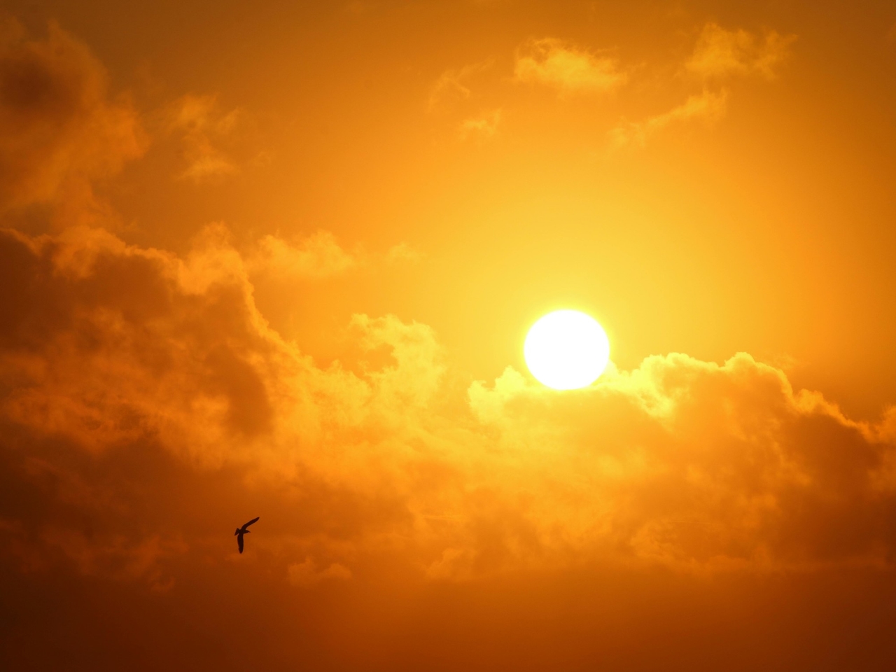 Il tempo oggi a Sierra de las Quijadas, San Luis: previsioni meteo per lunedì 25 agosto 2025