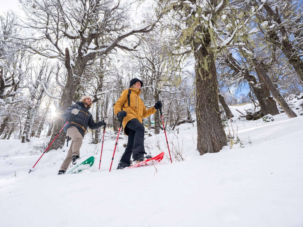 C'est l'une des destinations de vacances préférées et pour cet hiver, elle a lancé des réductions sur les hôtels et des tarifs gelés.