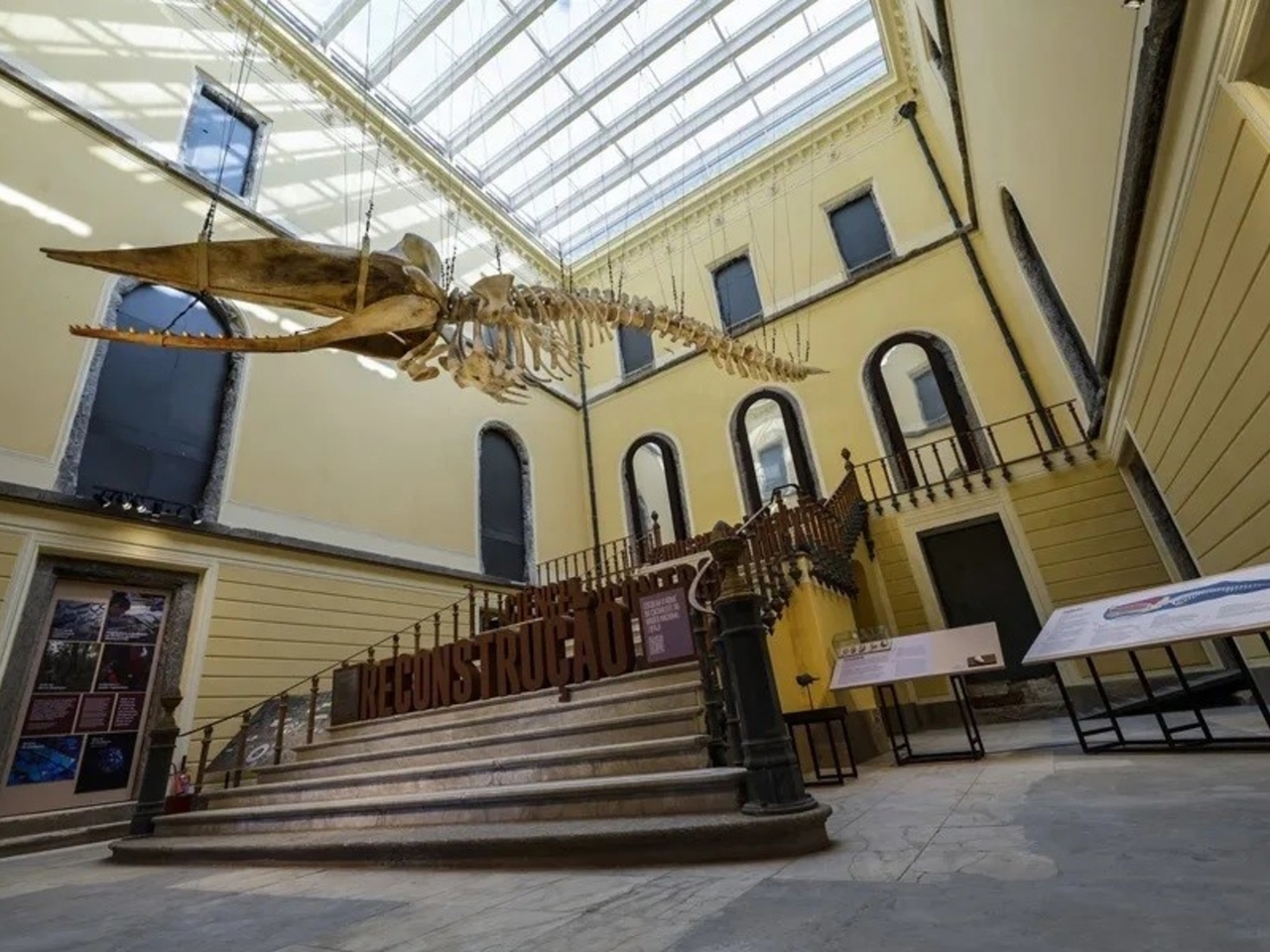 National Museum of Brazil: Seven years after the fire, the public returns to the São Cristóvão Palace