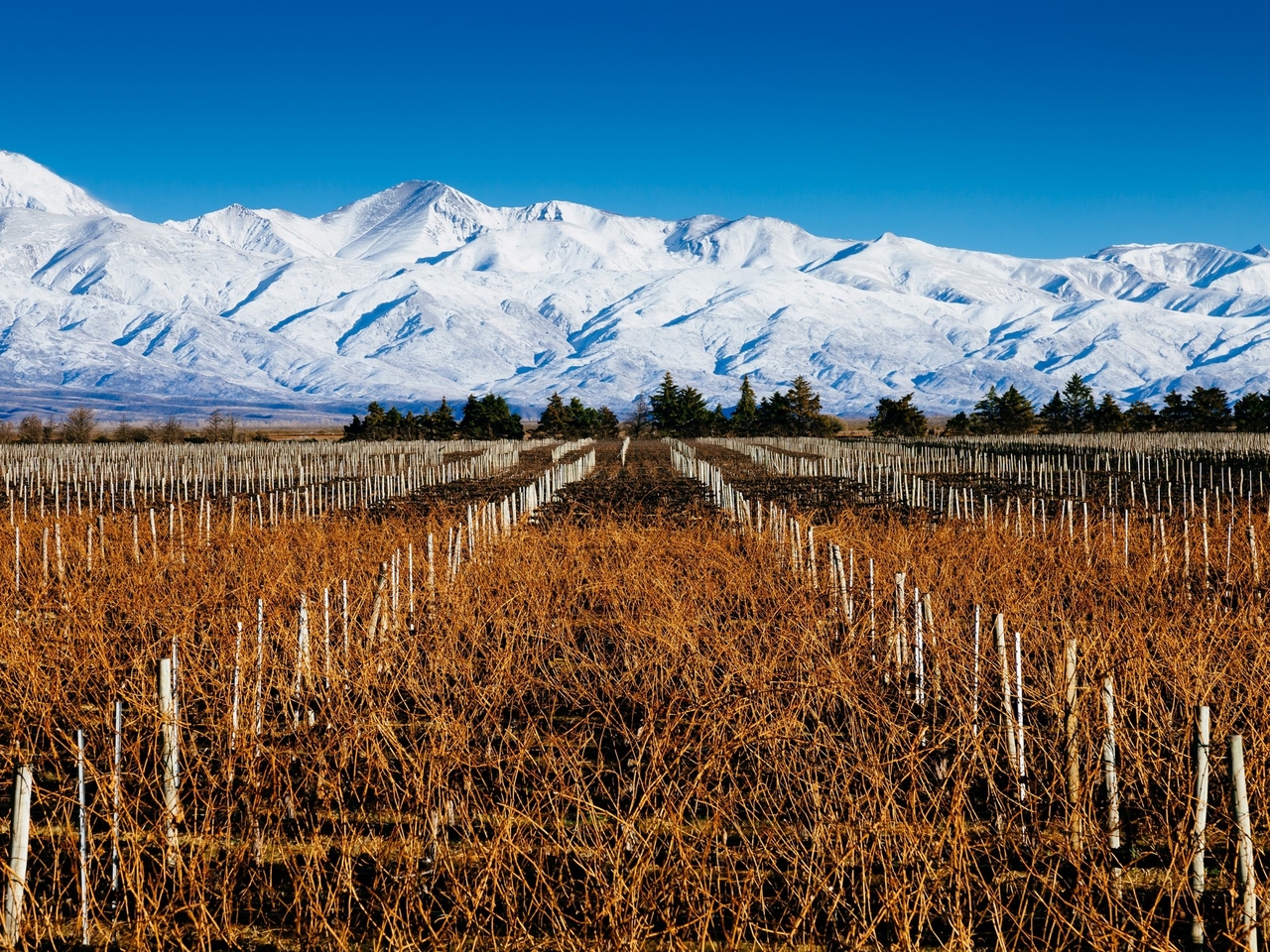 Imperdibles de Mendoza en vacaciones de invierno: qué ver en la ciudad, las rutas de Alta Montaña y del vino y el increíble paisaje de La Payunia