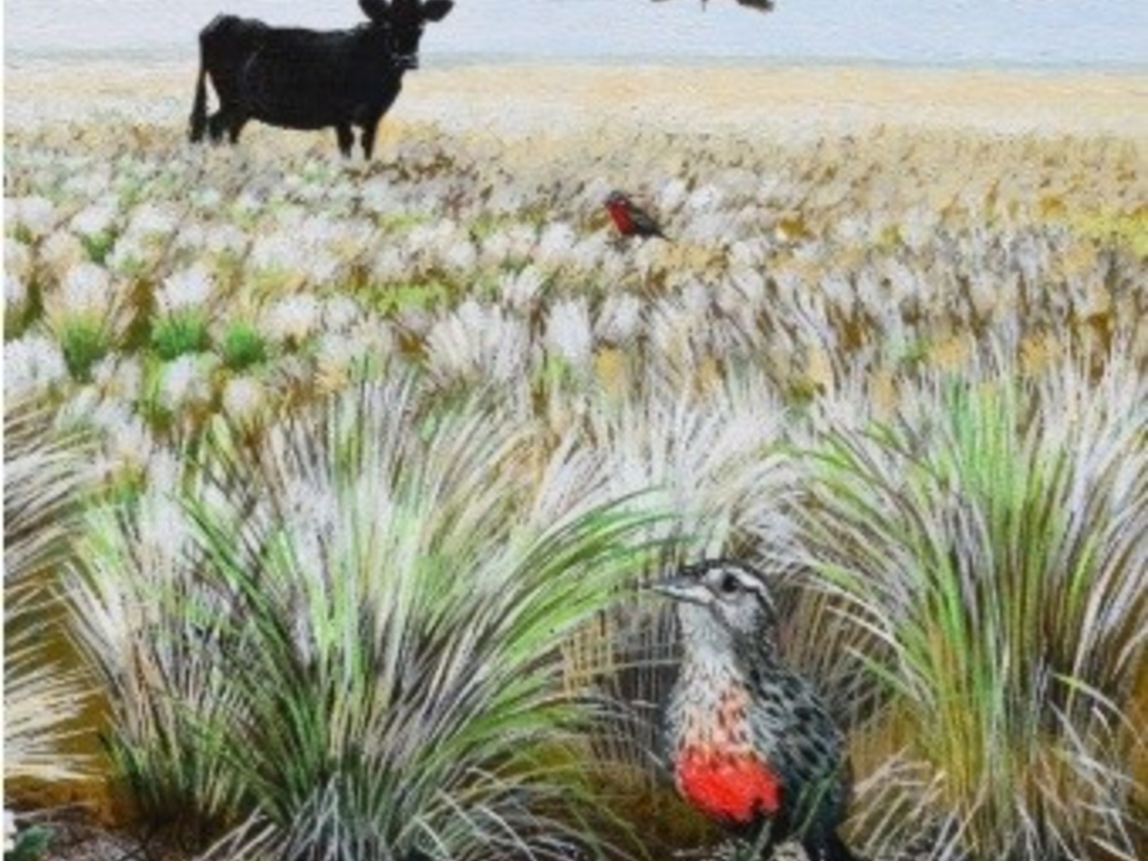 Birds, environment and responsible production