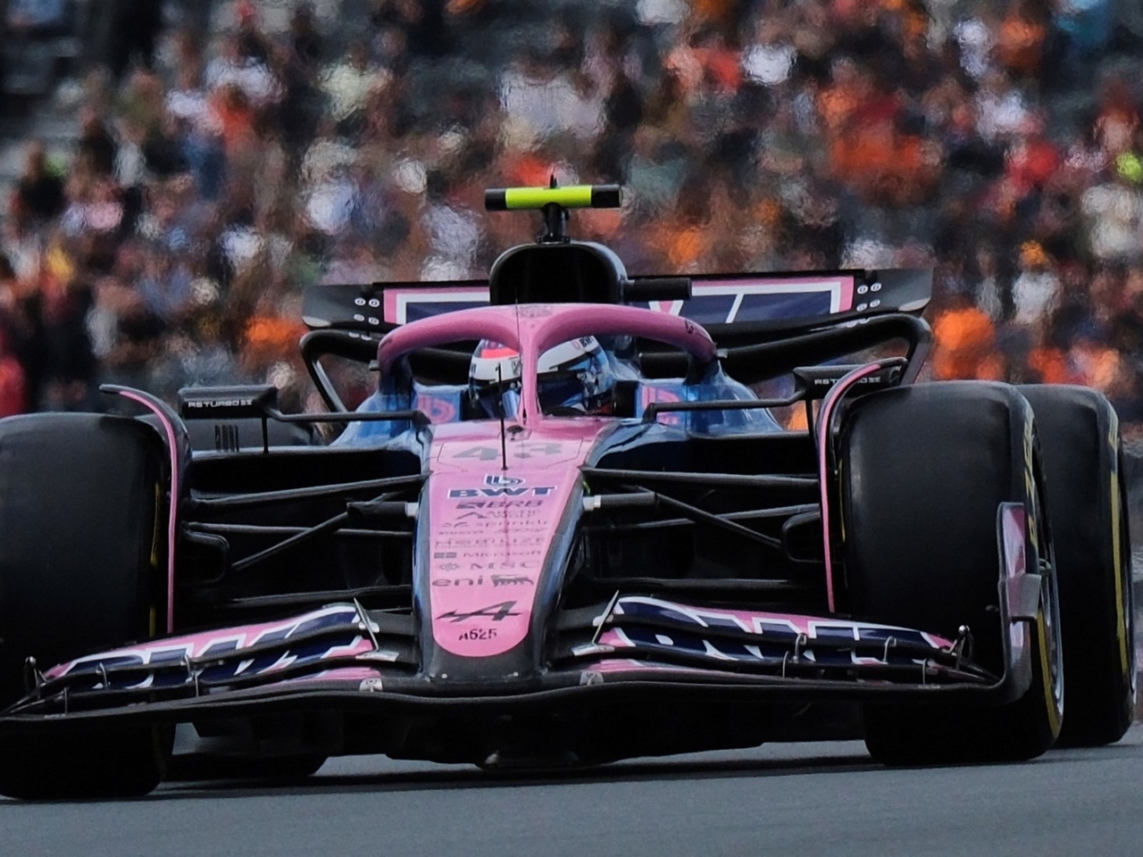 Niederländischer F1 GP HEUTE, LIVE: Qualifikationsplan mit Franco Colapinto diesen Samstag, 30. August