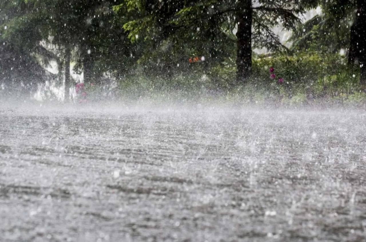 District Aveiro in gele waarschuwing vanwege hevige regenval, hagel en onweersbuien