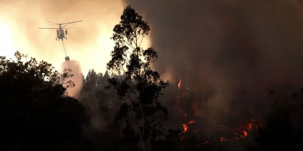 La superficie bruciata quest'anno è quasi triplicata rispetto al 2024 e gli incendi sono aumentati del 68%