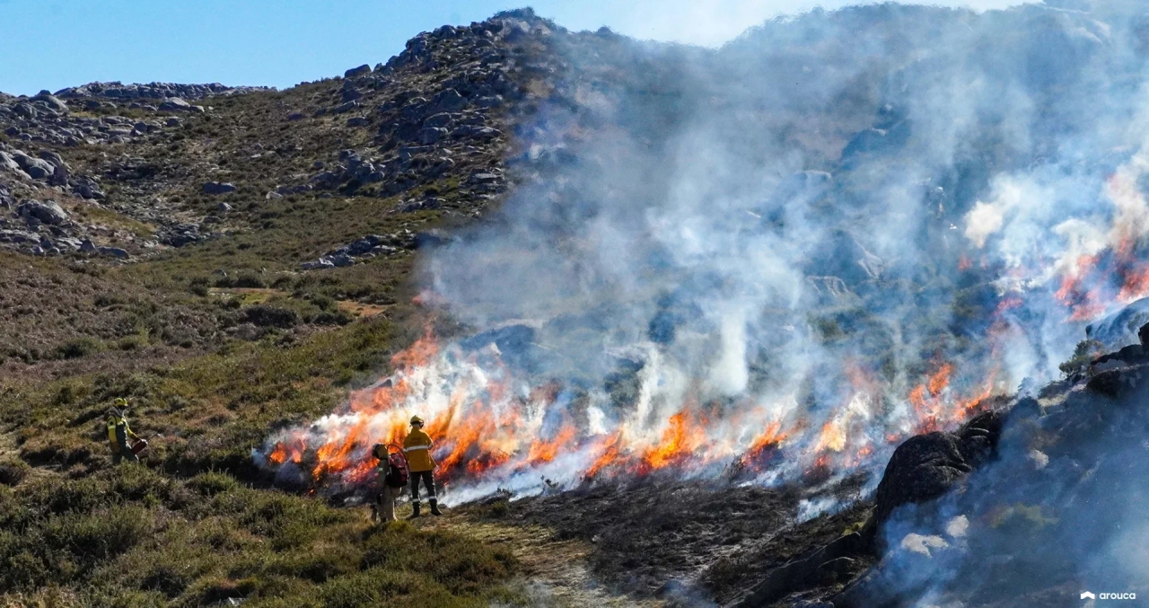 Gezinnen in Arouca vragen om steun om de watervoorziening te herstellen na branden