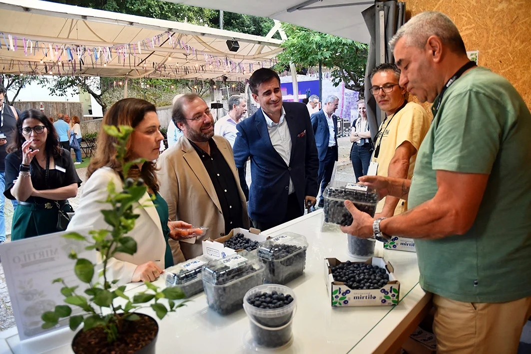 Festa do “ouro azul” está de regresso a Sever do Vouga